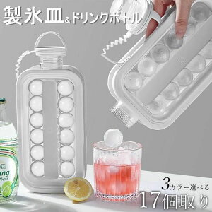 yP10{I28502565~ 11/11܂ŁzXM  17 2in1  Wt VR ACXg[ AEghA X{g ACX{[ ^ {g X {[ X^  HX 