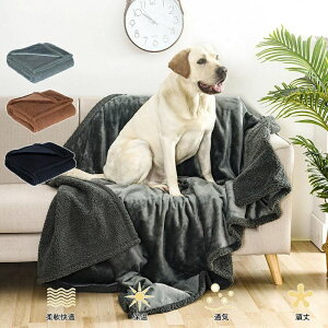 yP10{I23652129~ 10/27܂ŁzybghuPbg  L }bg lGpg  xbh\t@[p ^ L ETM  h}bg ybgp huPbg