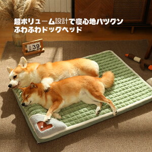 yP10{I22802052~ 11/11܂Łzybg xbh NbV xbh ybg NbV Lxbh ybg xbh  NbV}bg 􂦂 Jo[ t ^ ^ VjA t  