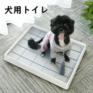 y2299~2069~ P5+5%COUPON! 11/27 1:59zgC zCg STCY LTCY p gCg[ g[jO }[LO|[ ^ ^ e p グ pgC g