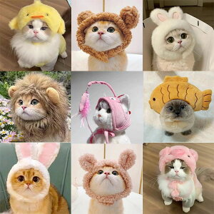 yI[vLOI5%OFFN[| 11/17܂Łzybg nbg Lp p Xq ybg  lC  킢 EGA ybg ^L ^  L  ڂ Be NNn  ꂢ