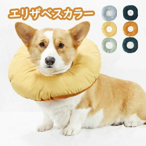 yI[vLOI5%OFFN[| 11/17܂ŁzGUxXJ[ y L  ybgp񕜋 \ _炩 ֌^ L \tg ی y ybgی ybgpi ȒP LK