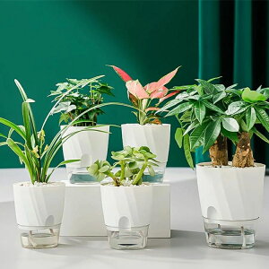 【P10倍!1860→実質1674円 10/27まで】植木鉢 自己給水 プランター ポット プラスチック製 水耕栽培 観葉植物 底面給水 現代風 装飾 家庭植物 多肉 花植物 ハーブ サボテン 適用