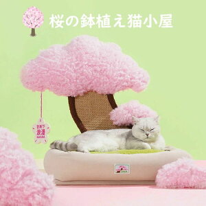 yI[vLOI5%OFFN[| 11/17܂Łz̖~͔L L ܂Ƃ|[ IV tt  ꂢ INS lCV IV ˂ ߂Ƃ lR ܂Ƃ|[ ܌ Lpi yb