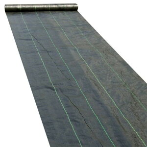 yI[vLOI5%OFFN[| 11/17܂ŁzhV[g _pV[g 悯V[g V[g Gh~ ϗpN 2-3N 0.3mm Gh  lHŉ 1mx10m 1mx15m 1mx50m Iׂ3T