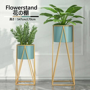 yP10{I56995129~ 10/27܂Łz L t[X^h  ԑ  v^[X^h  ACA v^[ X^h K[fjObN X ϗtA  |b