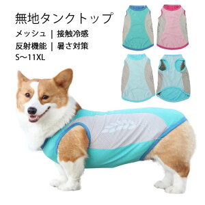 yP10{I19441750~ 11/11܂Łzp n^Ngbv S`11XLTCYWJ bV ڐG⊴ Ђ N[ ˋ@\ ΍   t  os U 킢 ^ ^ ^ 