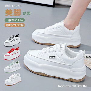 yJXLOE5%OFFN[|IzXj[J[ fB[X C X|[cV[Y r ₷ Ȃ ɂȂ ʋC Vv ʋ ʊw  V[Y ~ h r