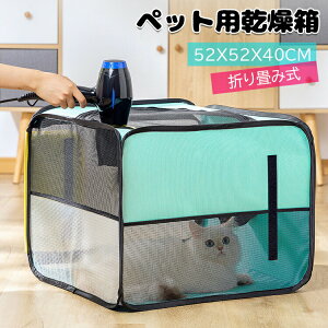 y3608~2886~ P5+5%COUPON+10%OFF! 11/27 1:59zybg ybg{bNX ybgP[X ybgnEX L  p C ʋC y ʋCQ ԗpybgL[ obO