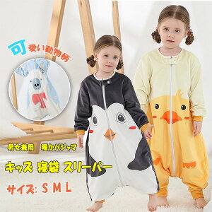 y3298~2638~ P5+5%COUPON+10%OFF! 11/27 1:59zX[p[ LbY@Q܁@LbYX[p[  gpW} H ~ xr[ LbY pW} [EFA   I[C