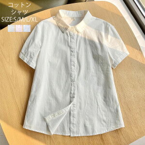 yJXLOE10%OFFN[|IzVc ݕt uEX  OJ Vc fB[X gbvX ȃVc RbgVc Vc n ʋ  uEX ݃[Xt ʋ