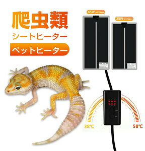 yP10{I25602304~ 10/27܂Łz 14W 20W ঒ޗpV[gq[^[ 3iKx ϋv ψɒg܂ s^KvX 38-65 ۉ ގ ঒ plq[^[ y͉x2558-65