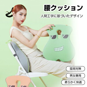 【P10倍!3960→実質3564円 10/27まで】腰クッション 腰枕 低反発クッション 快適な腰まくら 腰ケア ランバーサポート 通気 腰痛対策 姿勢矯正 腰サポート 人間工学 ギフト 母の日 背もたれクッ