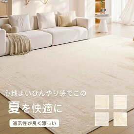 【店長おすすめ】夏用ラグ ひんやり 抗菌 防臭 防ダニ 滑り止め付 無地 ノンホルムアルデヒド リビング ラグマット 軽量 北欧