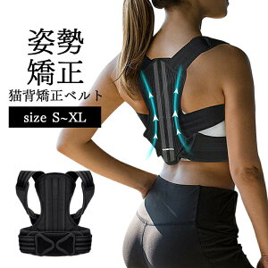 yP10{I31602844~ 10/27܂ŁzLwxg pxg w؋xg j 傫TCY q Lw ڗȂ  pT|[^[ pP pxg w؃T