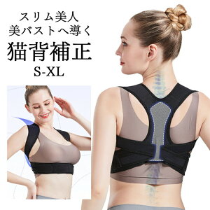 yP10{I41003690~ 10/27܂ŁzLwxg pxg w؋xg j 傫TCY q Lw ڗȂ  pT|[^[ pP pxg w؃T