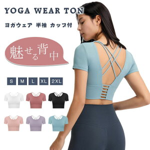 yP10{I33002970~ 11/11܂ŁzKEFA gbvX Jbvt  KTVc EFA ̌^Jo[z ʋC  Lk 킢  X|[c tBbglX W zbg