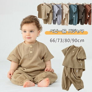 y2890~2457~ P10+5%COUPON! 11/19 23:59zxr[ pW}  K[[  [EFA ̎q LbY ZbgAbv n Vv qǂ ʋC  K JWA Q i 