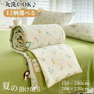 yz!X[p[SALEz|zc  |zc ėp VO ĕzc zc ې TT K ʋC y _炩 g ėp Q 킢 ԕ 唻  Mtg v[gI[