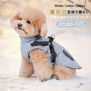 yz!X[p[SALEzybg   H ~  hbOEFA h h [ht {A  ӂӂ R[g Ck hbO  WPbg 킢  ^ ^  