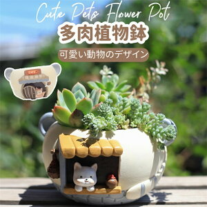 yz!X[p[SALEzAؔ A ϗtA v^[ ~j   IV LclC L JtF  킢 A̐Aؔ  K[fjO 񂹐A u CeA 