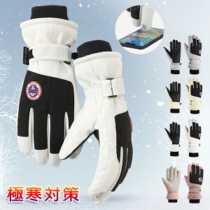 yP10{I13041174~ 10/27܂Łz h ~ oCN Y ] ܖ{wg Vv h~ ~ TCY\ X}zΉ ^b`plΉ  oR XL[