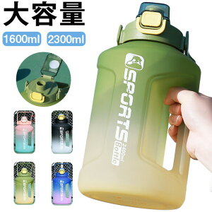 y4805~3844~ P5+5%COUPON+10%OFF! 11/27 1:59zX|[c  e  y 1bg LbY 􂢂₷  Of[V EH[^[{g gѕ֗ Rh~ q  |