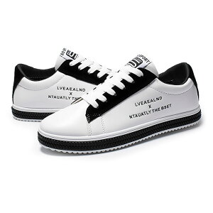 y2800~2380~ P10+5%COUPON! 11/19 23:59zt@bV Xj[J[ Y  C EH[LO  ʋ ʊw Vv  I[V[Y JWA [Jbg   