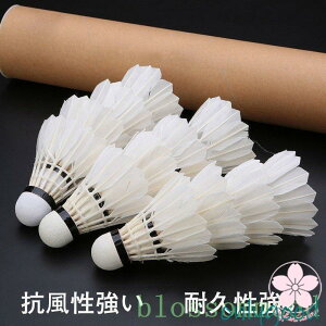 yI[vLOI5%OFFN[| 11/17܂Łzoh~goh~gVgK`ẺHϋv(1_[X12)KpϋvvRN