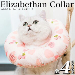 yI[vLOI5%OFFN[| 11/17܂ŁzL  GUxXJ[ ӂӂ _炩 p 킢 \tg h[ic ߉\ ی  pEFA 畆a