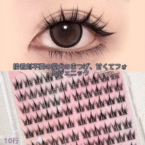 yVLOiIz܂ p ڒܕsv ̂sv \tg R  ACCN ACbV  sZbgt ܂  i`