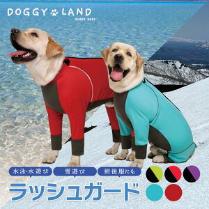 yI[vLOI5%OFFN[| 11/17܂Łz bVK[h wʃWbp[ Jo[I[ CtWPbg t  킢 Jt ̕   ̕