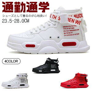 y4827~3862~ P5+5%COUPON+10%OFF! 11/27 1:59znCJbg Xj[J[ Y  ʋC y EH[LOV[Y 3E WMOV[Y JWA AEghA jOV[Y