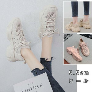 yI[vLOI5%OFFN[| 11/17܂ŁzXj[J[ fB[X ^C 21cm-26.5cm jO JWA ʊw ʋ  y w  傫TCY _bhXj[J[ V[Y EH[