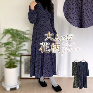 y5157~4126~ P5+5%COUPON+10%OFF! 11/27 1:59zԕ s[X  ꂢ fB[X ~ G ԕs[X tAs JWA ԕ O tA q f[g 