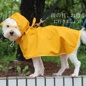 yI[vLOI5%OFFN[| 11/17܂Łzybgp CR[g |` pH Jbp ϋv K h h ho ~J΍ J̓ U o C[ ^ ^ Xqt ʋC h