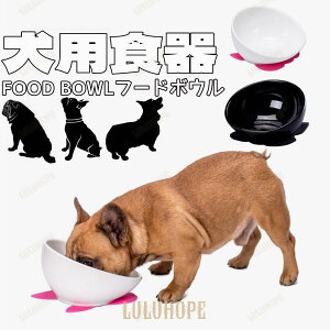 yI[vLOI5%OFFN[| 11/17܂Łz H  p H t`uhbOM pM t[h{E ybg a ybgp   t`uhbO p