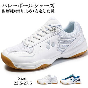 yVLOiIzo[{[V[Y Y fB[X ejXV[Y X|[cV[Y WjA oh~gV[Y jOg[ ̈ K y X|[c 