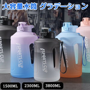 yVLOiIz e X|[c{g gѐ 1.5L 2.3L 3.8L jp Ƃ AEghA X|[c{g y 􂢂₷ ʋ ʊw hN{ AEghA X|[c 