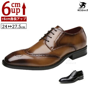 yVLOiIzi {vV[NbgV[Y Y  gAbv6cm up6cm q[Abv rWlXV[Y {vC V[NbgV[Y Y rWlXC C ^C 