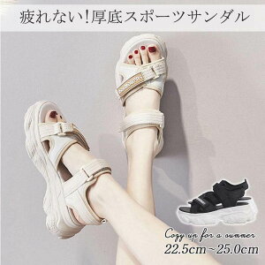 y3159~3096~ P2!zT_ fB[X T_ X|[cT_ r l  ăT_ y fB[X r[`T_ C C ₷ ItBX JWA 