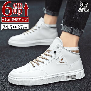 y4537~4446~ P2!zV[NbgV[Y Y  gAbv6cm up6cm q[Abv gup V[NbgV[Y  YXj[J[ rWlXC C ^C amC Cq