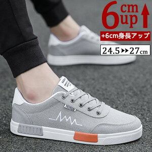 yVLOiIzV[NbgV[Y Y  gAbv6cm up6cm q[Abv gup LoX V[NbgV[Y YXj[J[ rWlXC C ^C amC 