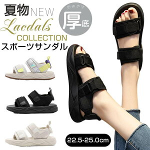 yVLOiIzT_ fB[X  r  XgbvT_ y fB[X fB[X ₷ ItBX JWA 傫TCY RtH[g V[Y 