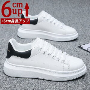 yVLOiIzV[NbgV[Y Y  gAbv6cm up6cm q[Abv gup V[NbgV[Y YXj[J[ rWlXC C ^C amC Cq[ 