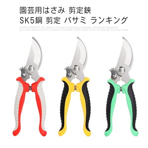 yVLOiIz|p͂  SK5|  oT~ ʎ  |piCt 荞݂΂ ~͙蓹뉀 ΂