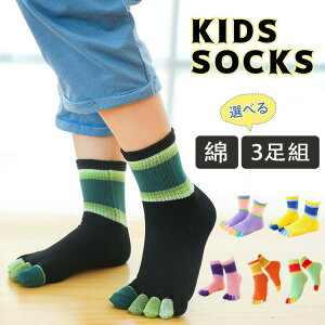 y2354~2307~ P2!zyIׂ3gzq C Zbg 5{w\bNX j̎q ǂ g 5{wC X|[c\bNX qp  5{w qǂp   ܖ{w\bNX W