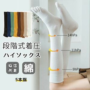 y2290~2244~ P2!zy2Zbgz\bNX 5{w Y t  H~  g ₦Ƃ d˗ hL X|[c n  p jp ߕt nC\bNX 5{w