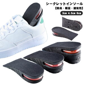 y2298~2252~ P2!zV[NbgC\[ gAbv gUP NbV r ʋC _ Ȃ Y fBX C\[ jp u[c Xj[J[  EH[LO 