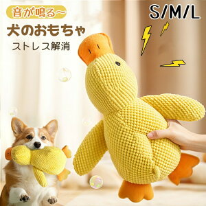 y2138~2095~ P2!z   ybg  _bN Ђ ނ ybgp V   ^ ^ ^ ߋ _炩  ybgpi   pi 